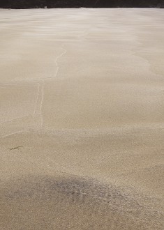 2009-008